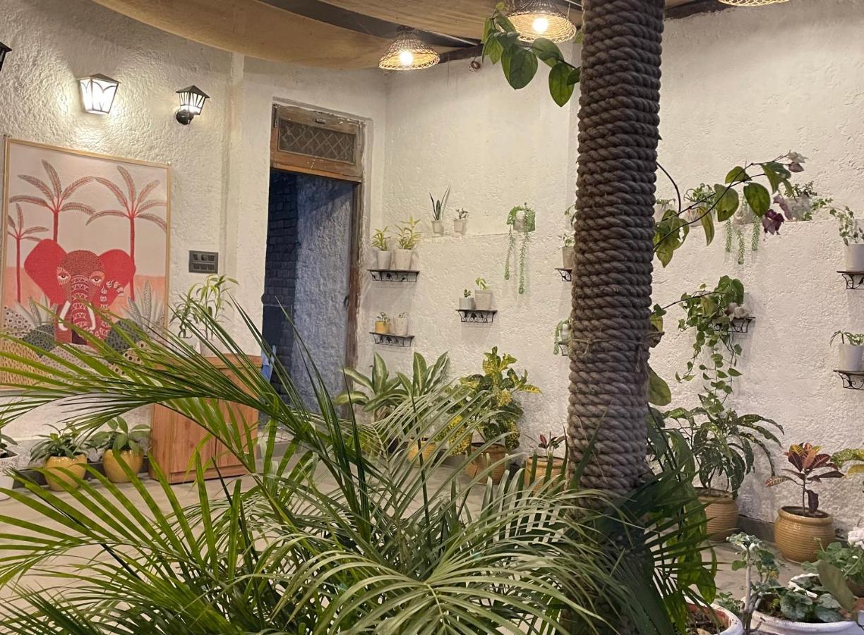 Saraiville- Luxury Riverside Cottages 德拉敦 外观 照片